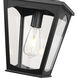 Curry 1 Light 9 inch Powder Coated Black Outdoor Hanging Lantern